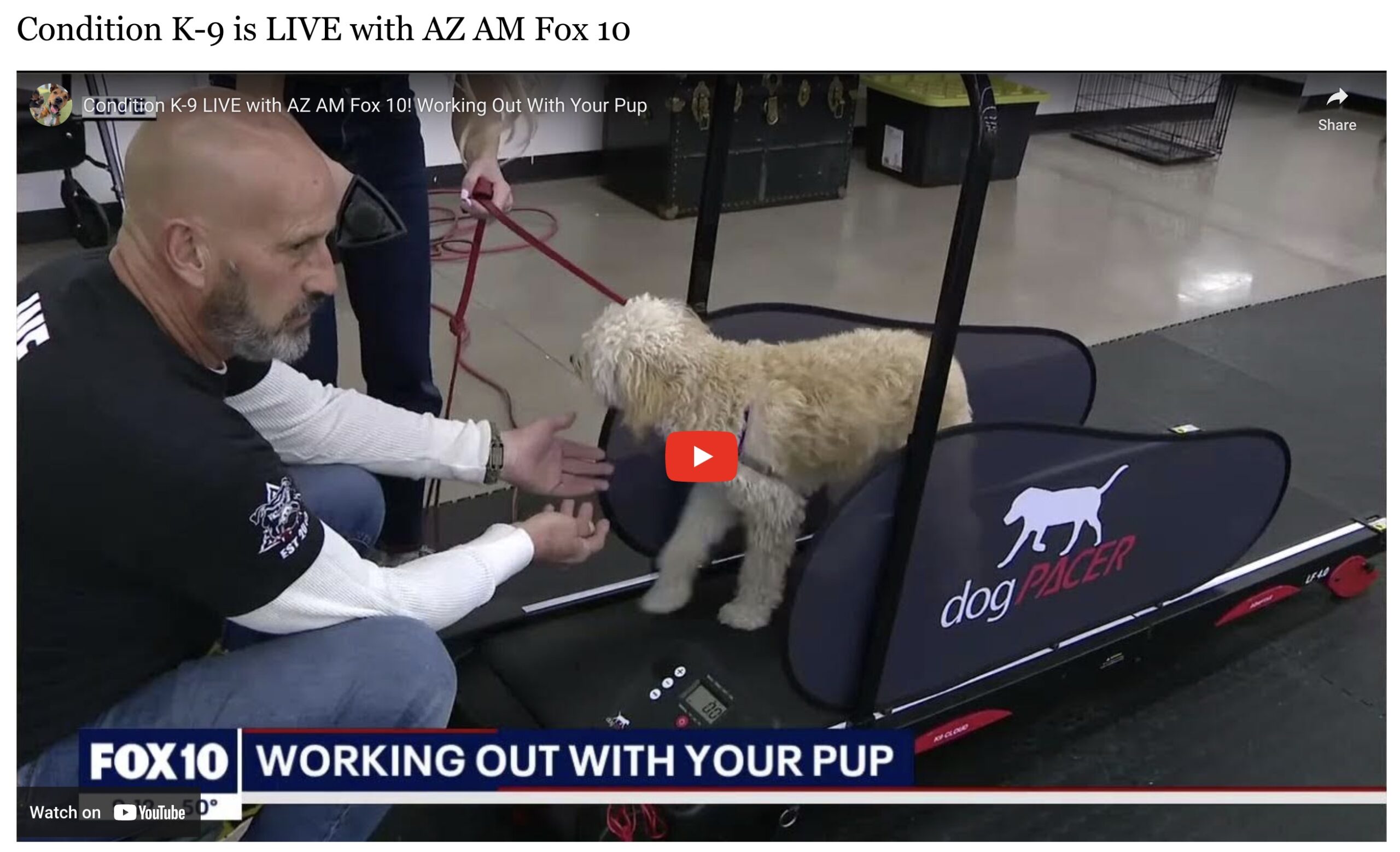 In the News Condition K9, Phoenix Dog Training, Dog Trainers Phoenix, AZ