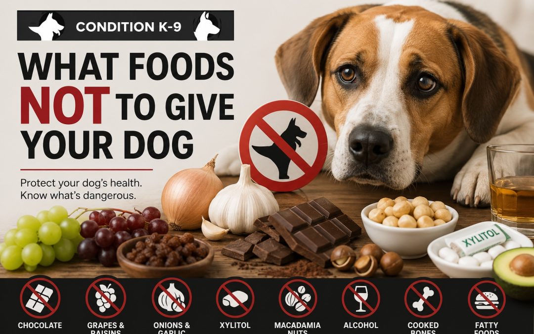 Dangerous Foods for Dogs: What Every Pet Owner Should Avoid Feeding Their Four-Legged Friend